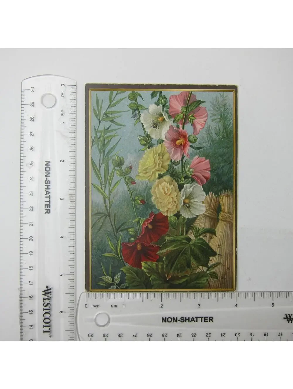 Victorian Greeting Card Flowers Red Pink White Hollyhocks Bee Dragonfly Antique